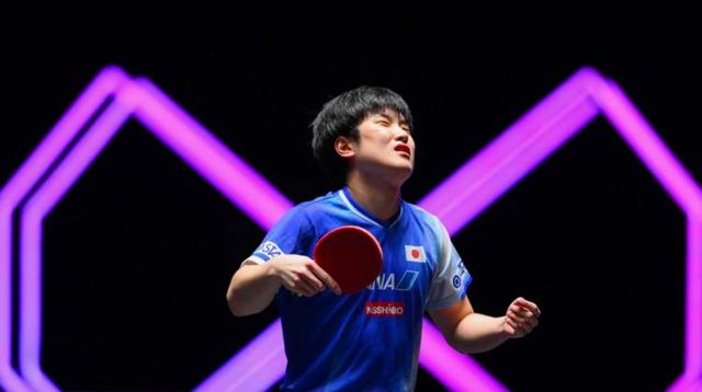 瑞典队横扫法国队，张本智和刷新纪录的简单介绍