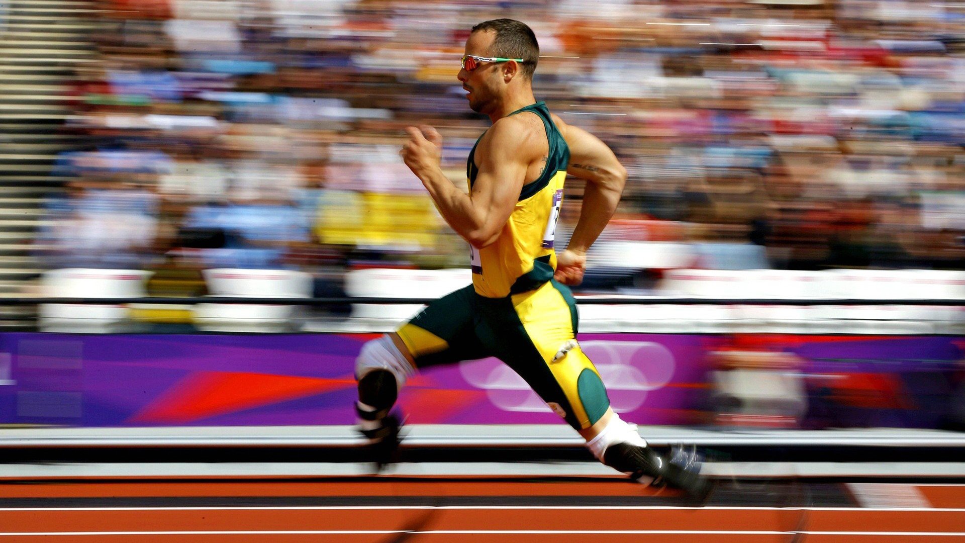 当精密齿轮遇见多瑙河洪流，张本智和纪录夜的无言结局